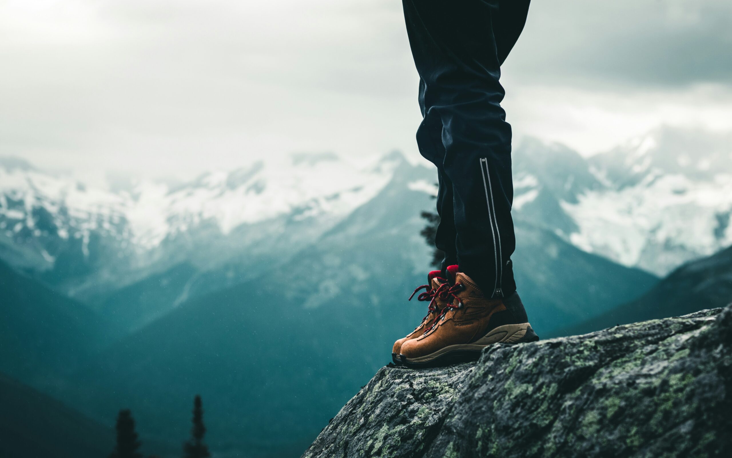 stylish wellness fashion