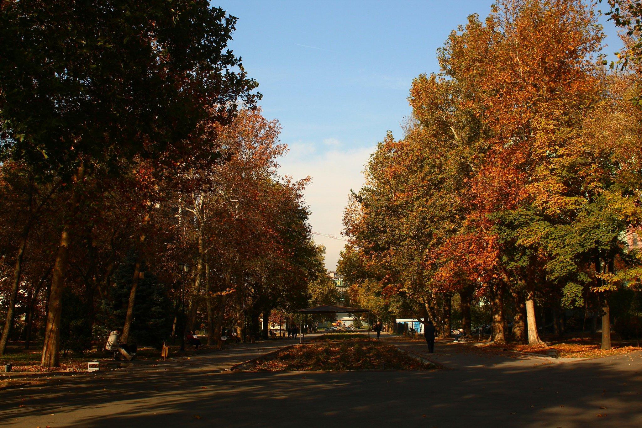 Bloomingdale's Wellness Apparel: Your Ultimate Guide to Stylish and Functional Health Wear