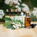 Cedar Wood Benefits: Why Your Wellness Wardrobe (Yes, Even at Bloomingdale’s) Needs This Natural Powerhouse