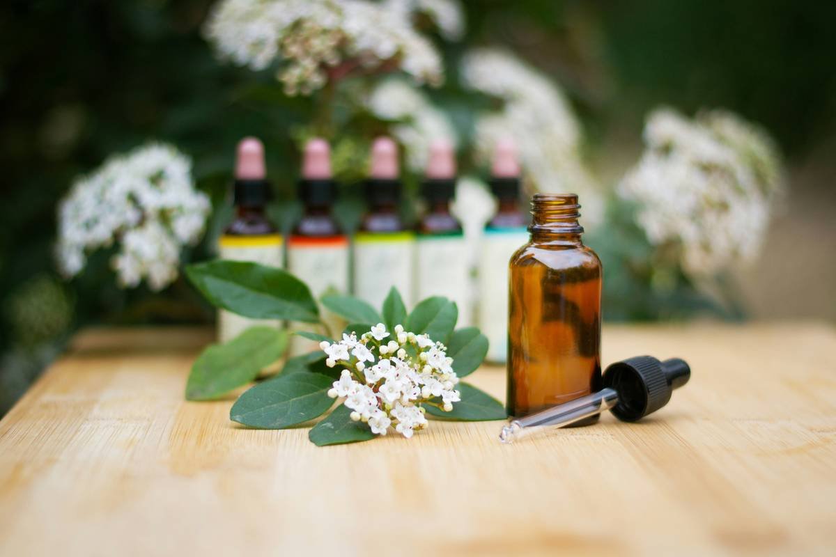 Cedar Wood Benefits: Why Your Wellness Wardrobe (Yes, Even at Bloomingdale’s) Needs This Natural Powerhouse